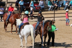 Horsemanship Camp