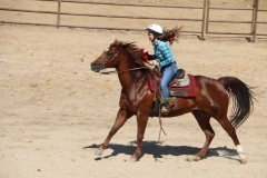 Horsemanship Camp