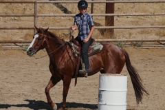 Horsemanship Camp