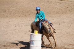 Horsemanship Camp